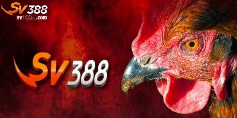 SV388